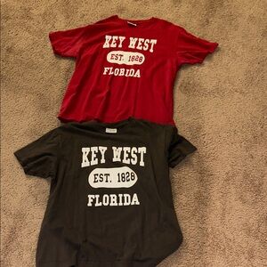 Set of 2- Mens T-shirt